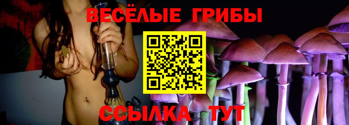 Галлюциногенные грибы прущие грибы Скопин