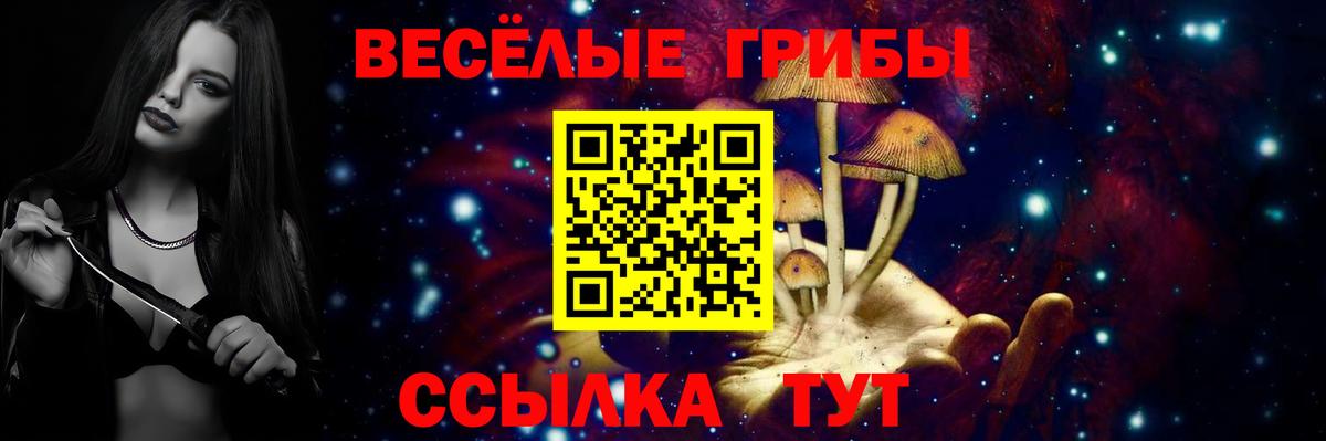 Скопин  Псилоцибиновые грибы Psilocybe  Вход с VPN 